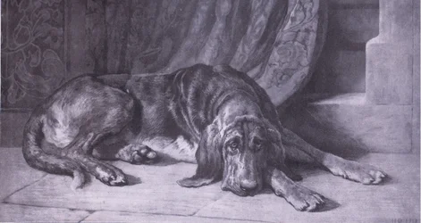 Der Wächter, Bibbys Annual, 1916-17